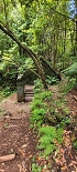 Plants: image 54 Of 208 Thumb